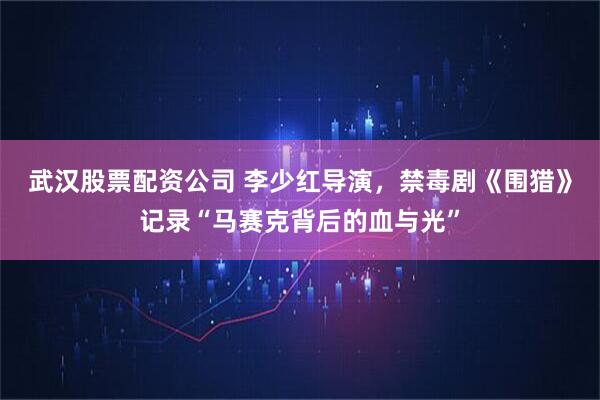 武汉股票配资公司 李少红导演，禁毒剧《围猎》记录“马赛克背后的血与光”