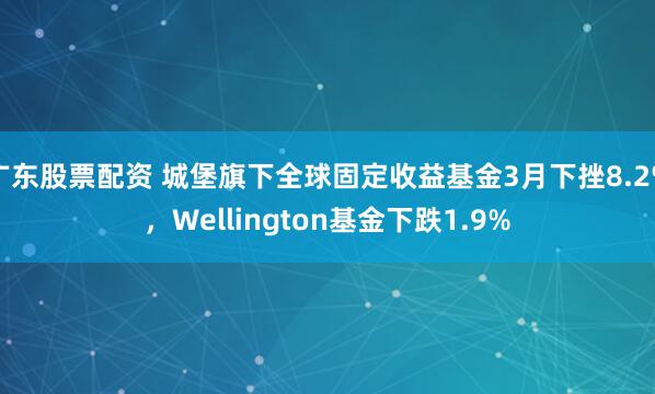 广东股票配资 城堡旗下全球固定收益基金3月下挫8.2%，Wellington基金下跌1.9%